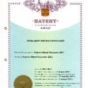 patent-2